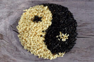 Fengshui is only about yin and yang only - Fengshui Master Lim 